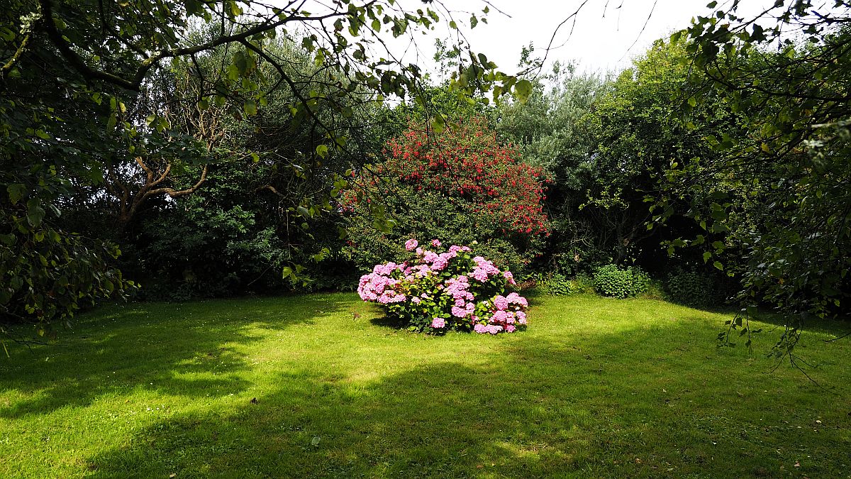 An Tigin Salach An Tigin Salach